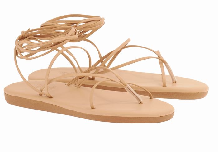 Sandales De Gladiateur Ancient Greek Sandals String   | MJK-1653974